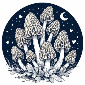 Morel Print